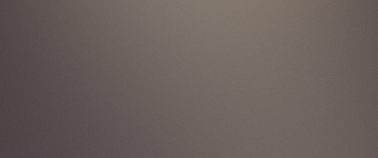 Portrait placeholder for William N. Braswell, Jr.